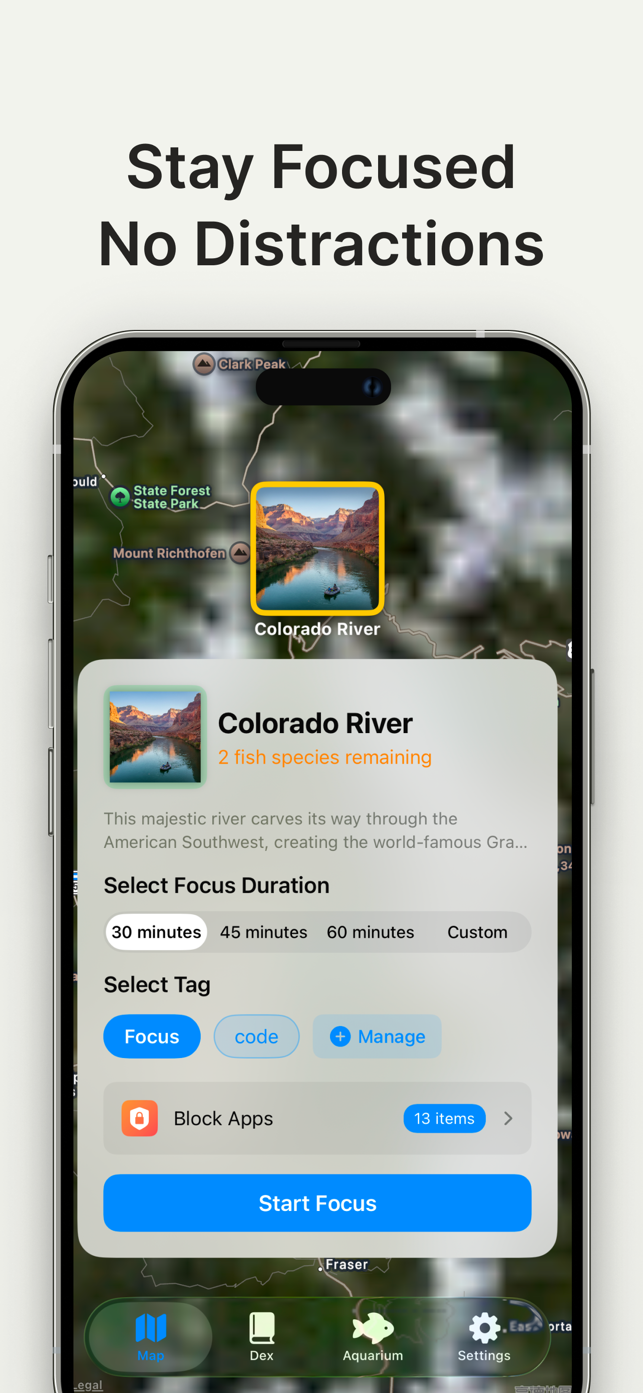 FocusFishing gallery image