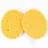 compressed cellulose Sponge