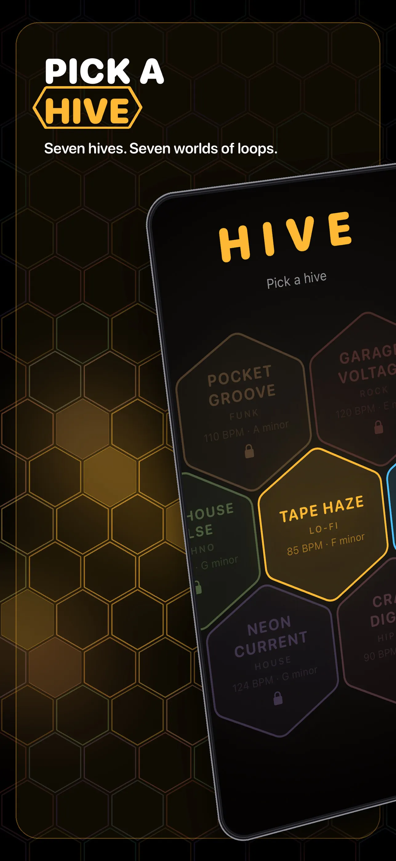 Hive gallery image