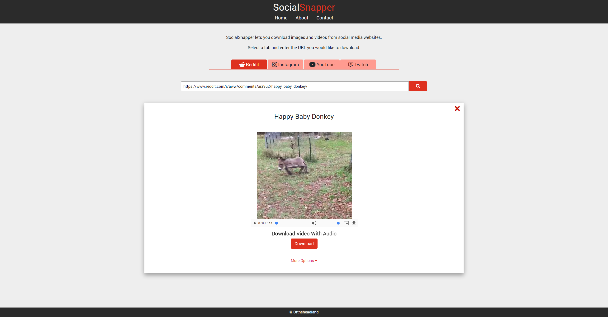 SocialSnapper Image