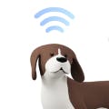 Sniffer