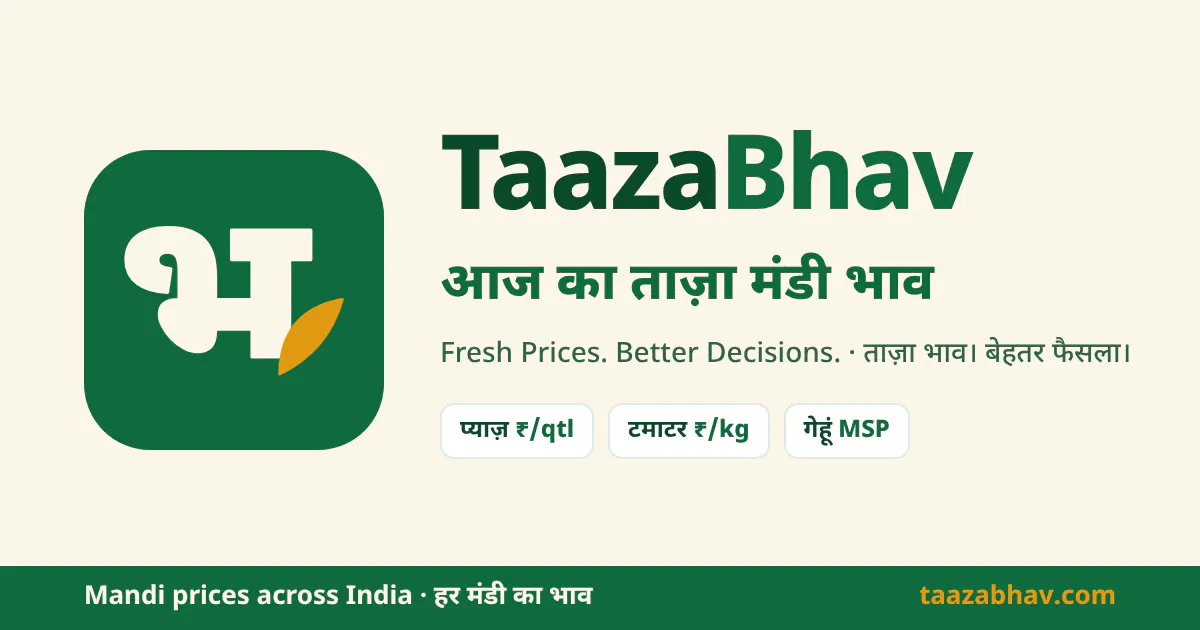 TaazaBhav gallery image