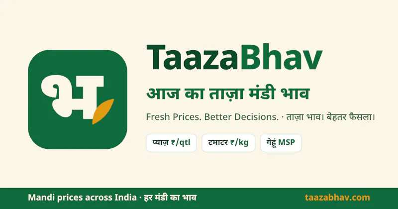 TaazaBhav screenshot 2