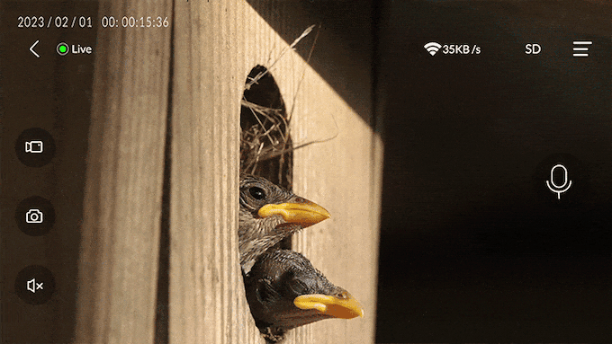 Nido di uccelli - Una casa per uccelli intelligenti a doppia fotocamera media 4