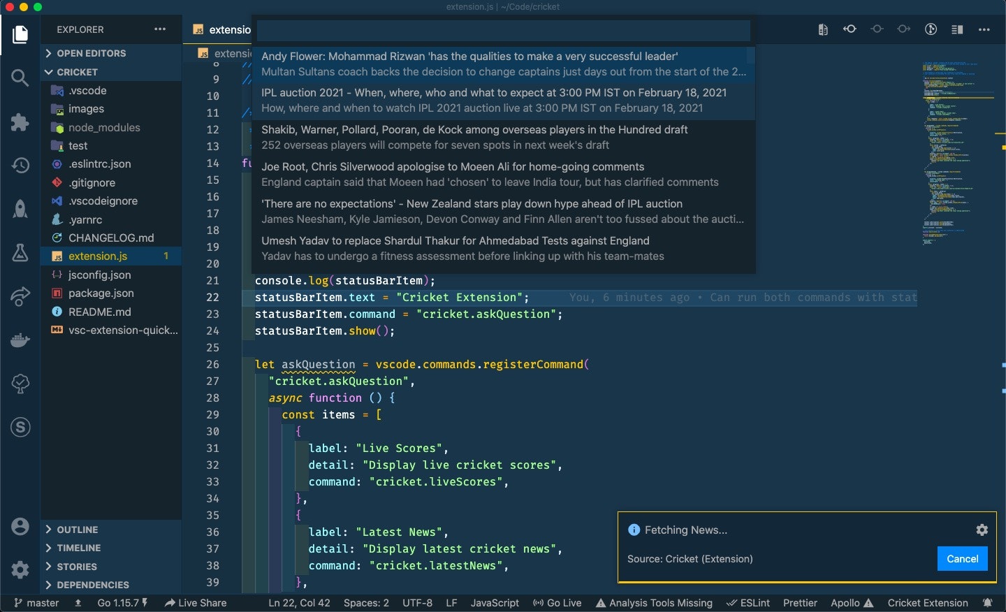 VSCode Cricket Extension gallery image