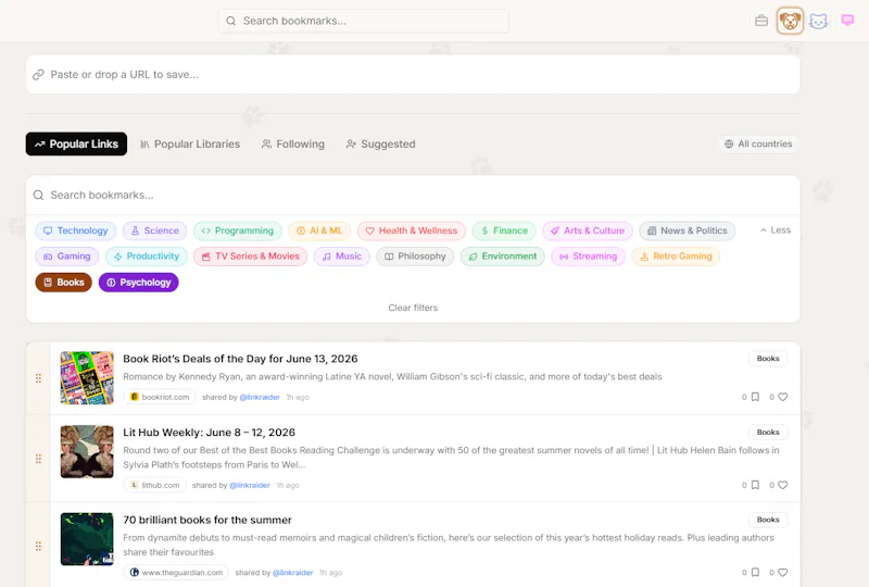 linkraider screenshot 5