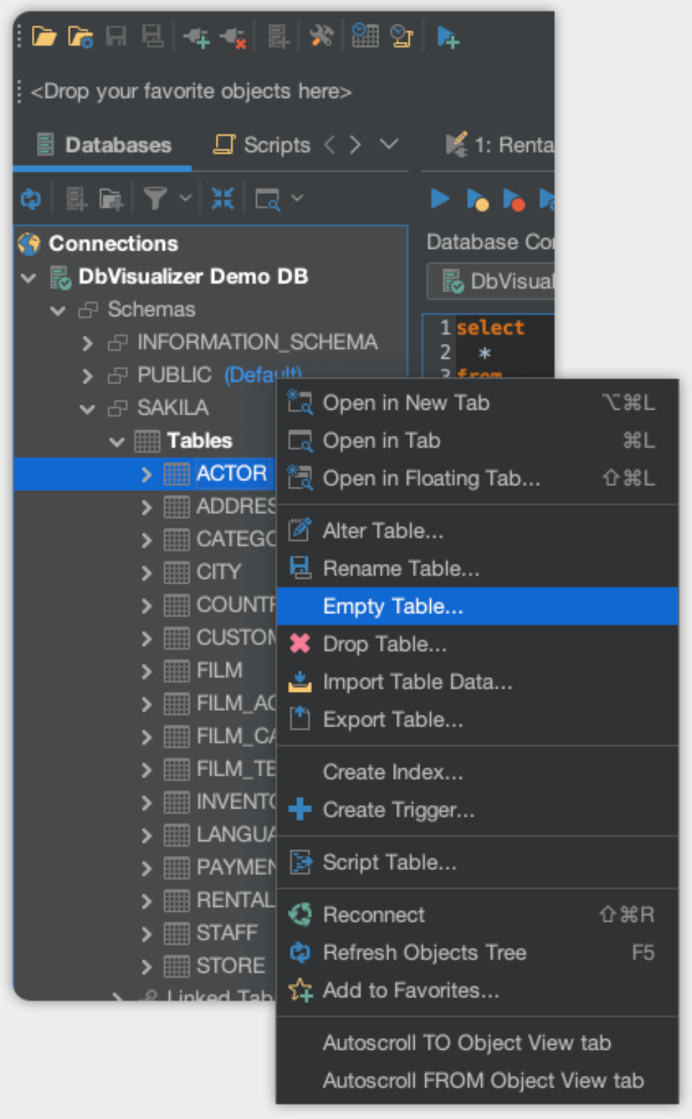 dbvisualizer media 2