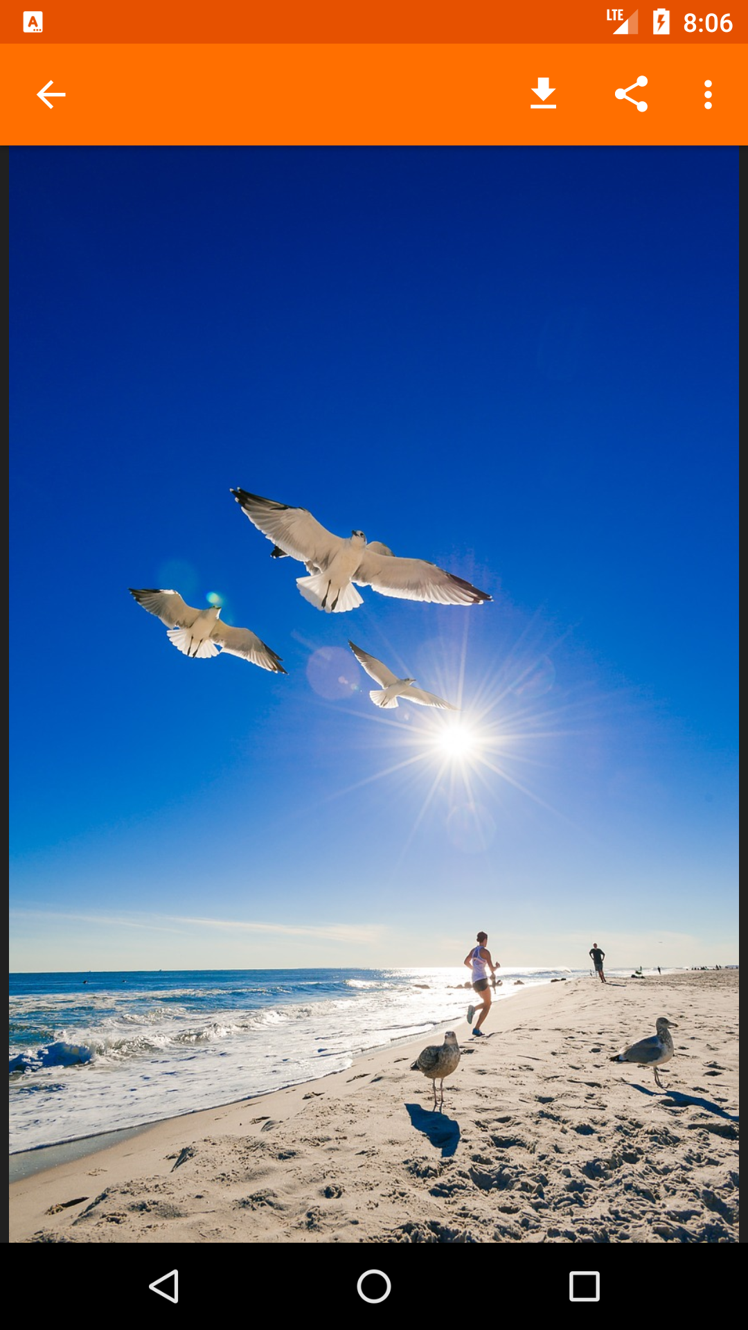 World Pics gallery image