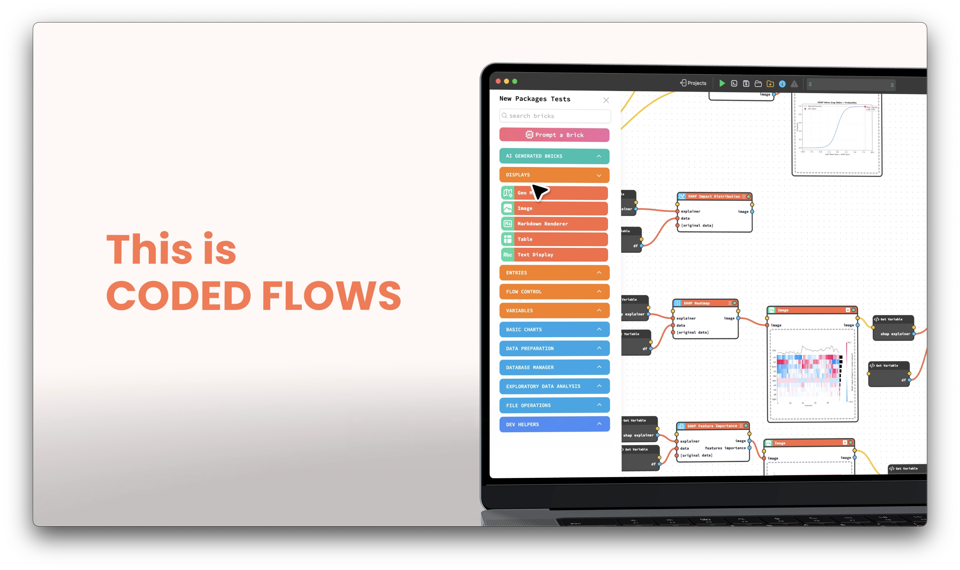 CODED FLOWS gallery image
