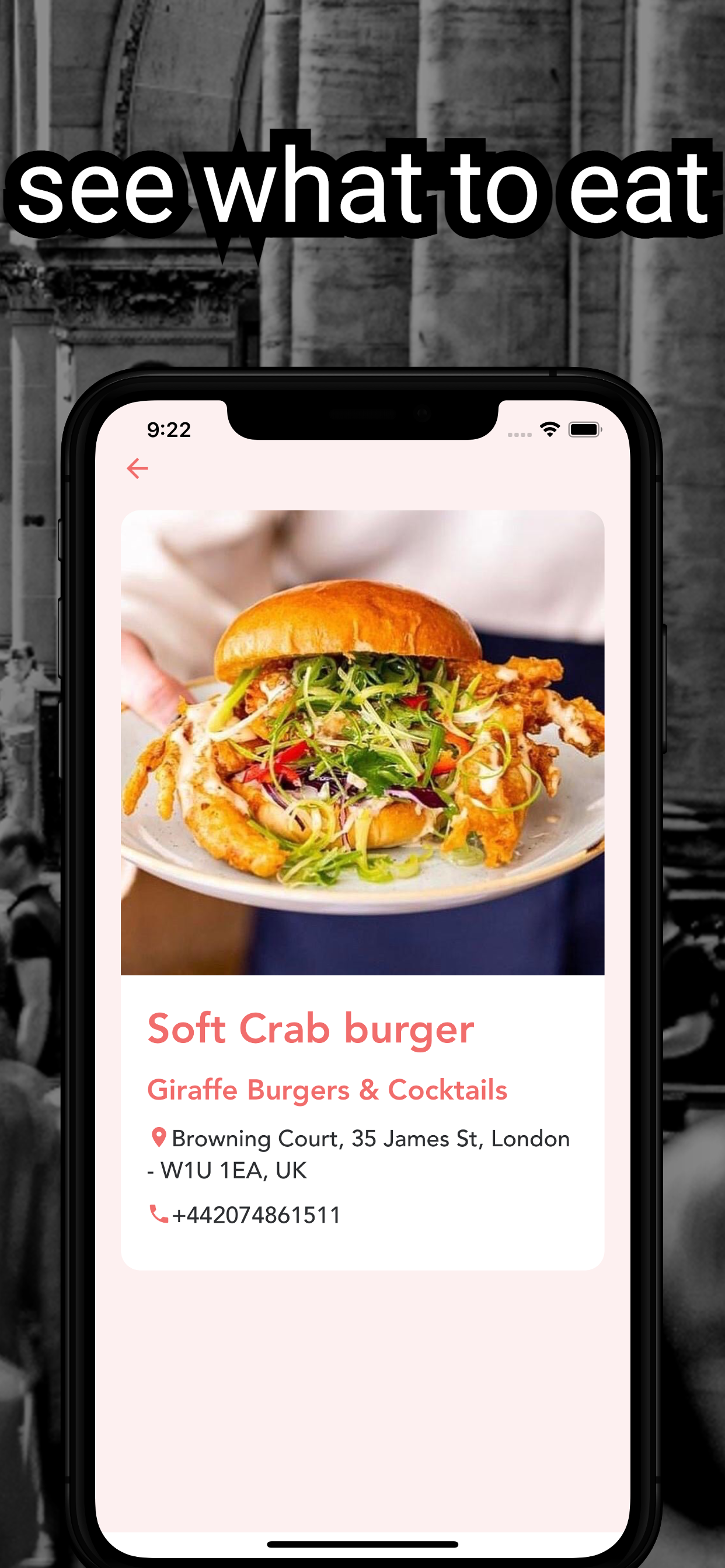 apicfood gallery image