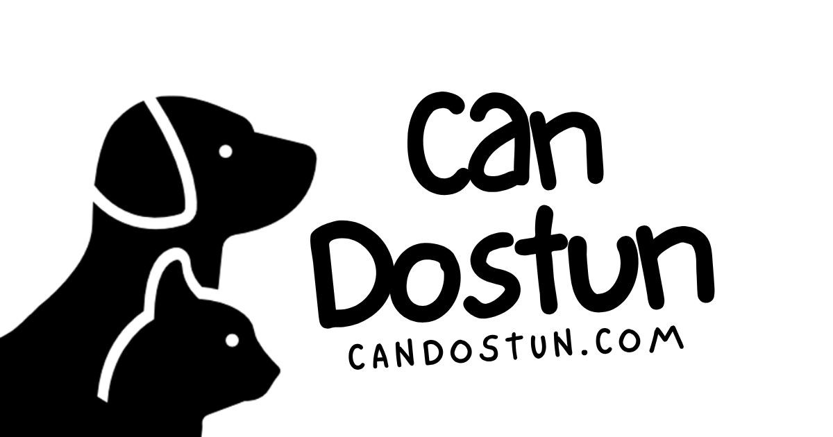 Can Dostun gallery image