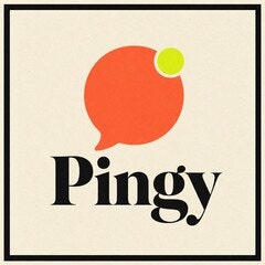 Pingy