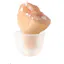 Best Hearbloom Hearing Aids