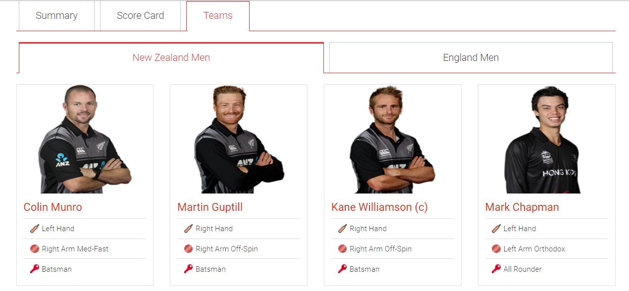 Ultimate Live Cricket WordPress Lite gallery image