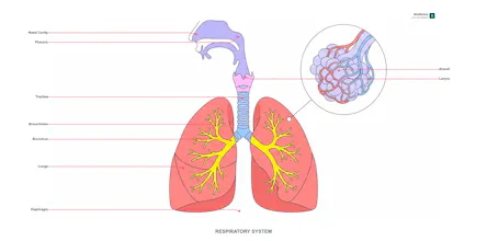 BioNotes gallery image