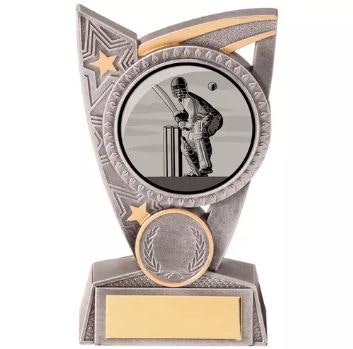 Cricket Trophies Online gallery image