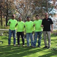 The Perfect Lawn gallery image