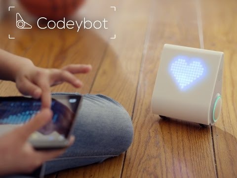 Codeybot