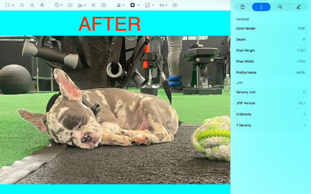 Metadata Remover gallery image