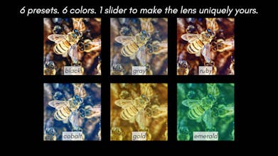 chromaXflow gallery image