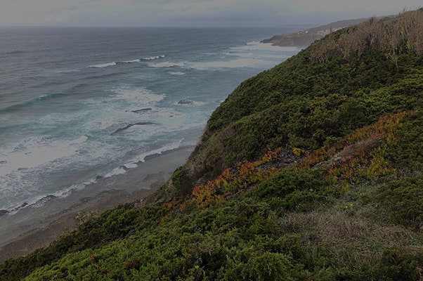 Oasa - Sustainable coliving spaces gallery image