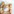 Cute Kitties New Tab Chrome Extension