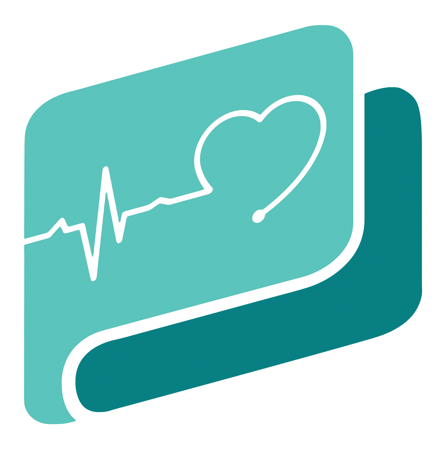 Gezondheidszorg begrijpen