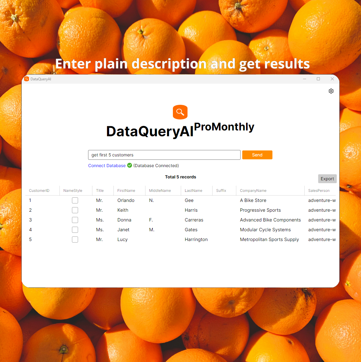 DataQueryAI gallery image