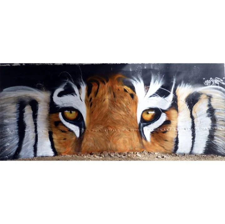 dkjsbdkjsbjkfbdsjkf cover