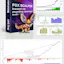 Scalper robot forex FoxScalper
