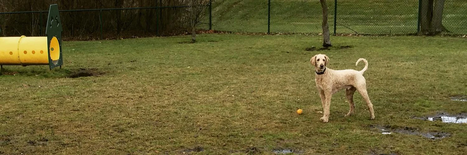 Yuki Matsukura cover