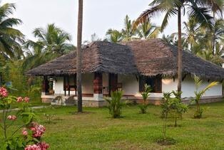 Buy/Sell Agriculture Lands or Farm Lands gallery image