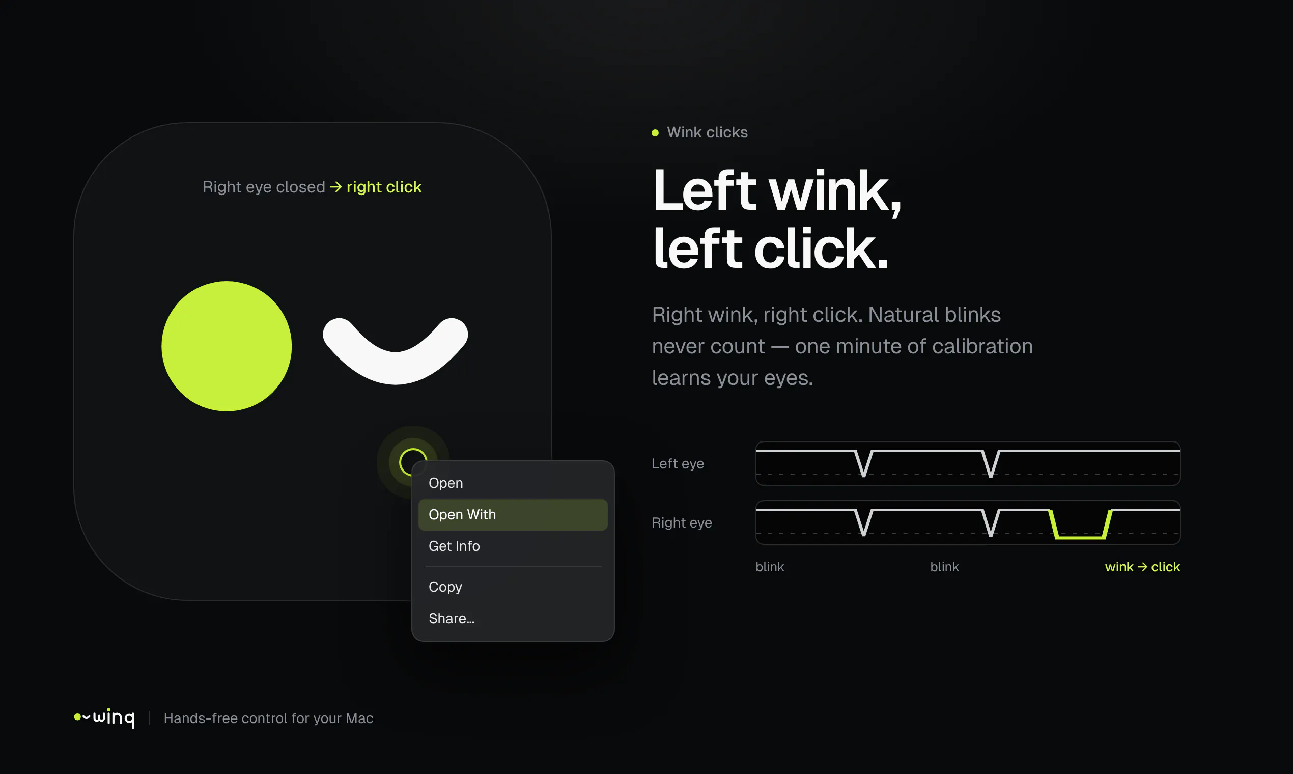 Winq gallery image