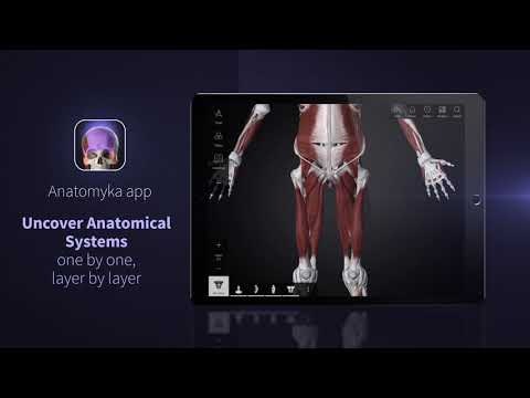 Anatomyka gallery image