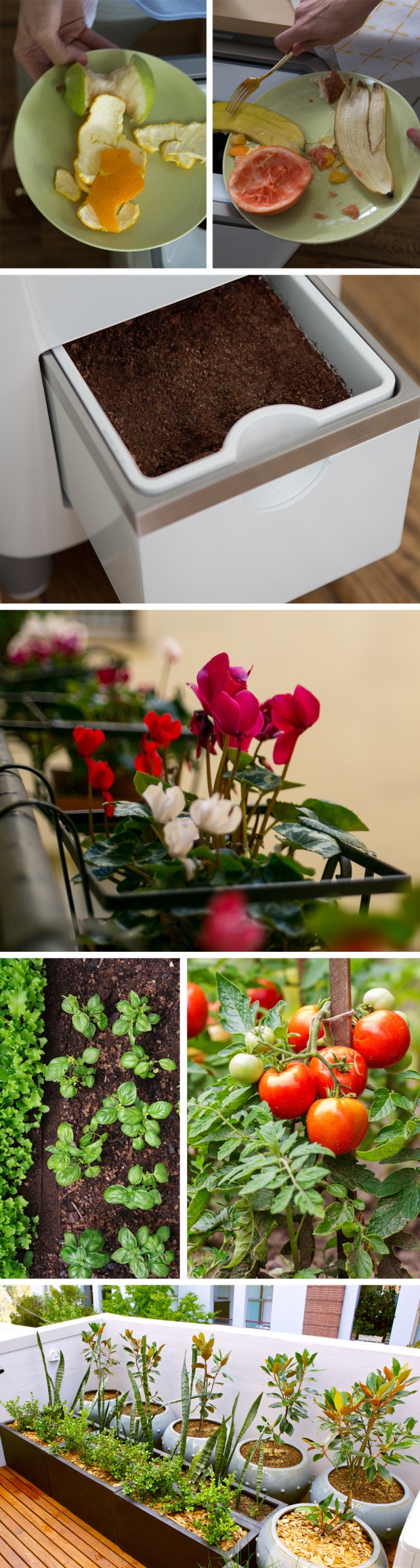 ZERA Food recycler gallery image