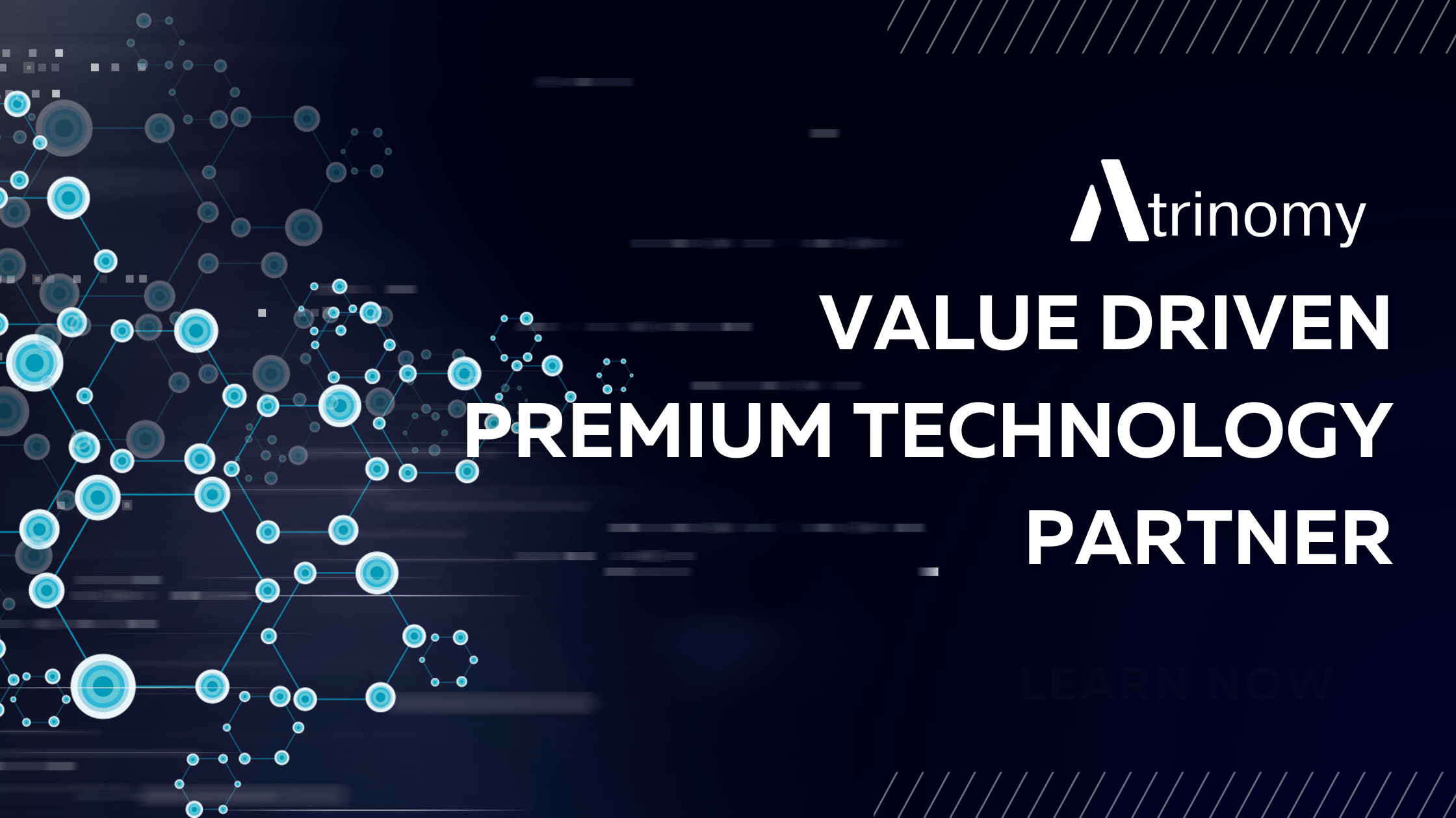 Atrinomy premium softwareservices - Top 3% Indian Tech Talent voor softwareoplossingen media 2