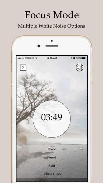 Cuckoo gallery image