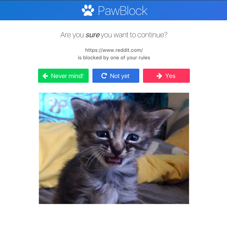 PawBlock gallery image