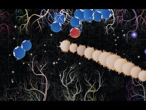 Lead Them gallery image