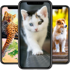 Download Over 100K HD Animal Wallpapers