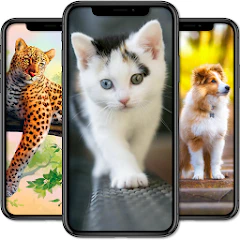Download Over 100K HD Animal Wallpapers