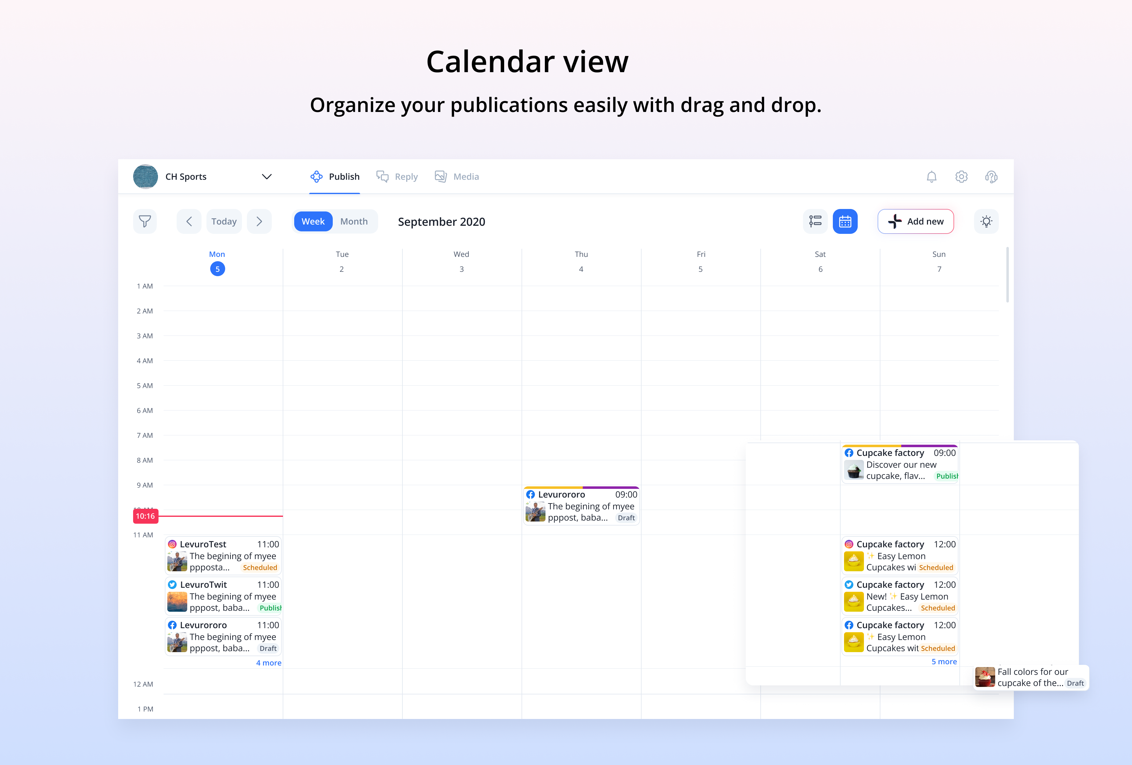 Levuro gallery image