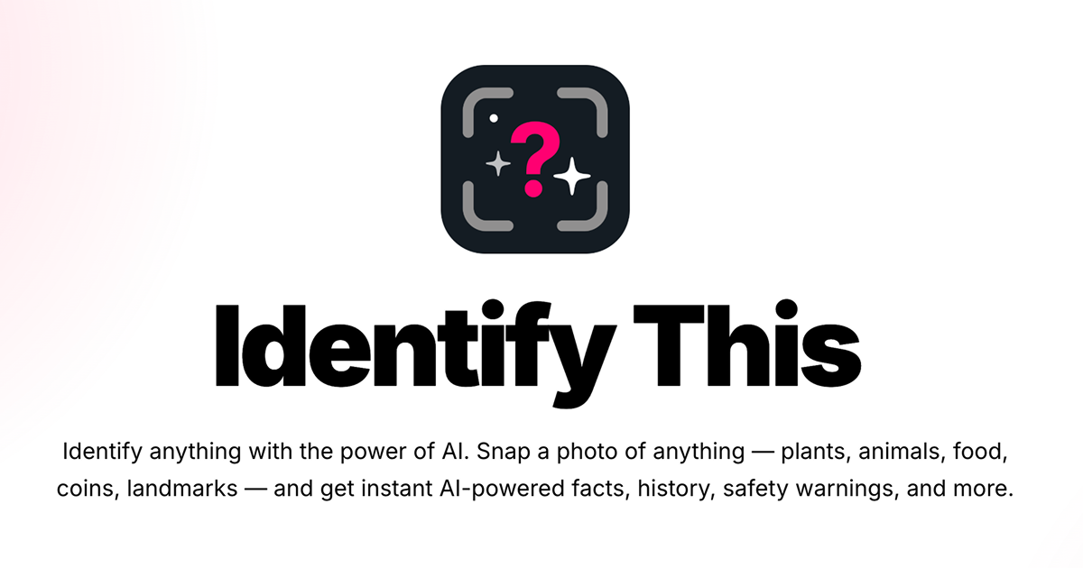 Identify This gallery image