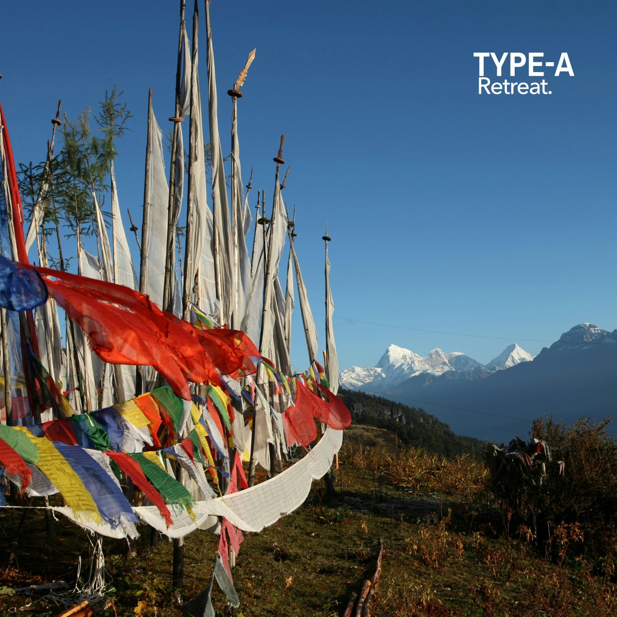 Type-A Retreat gallery image