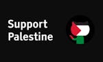 Support Palestine image