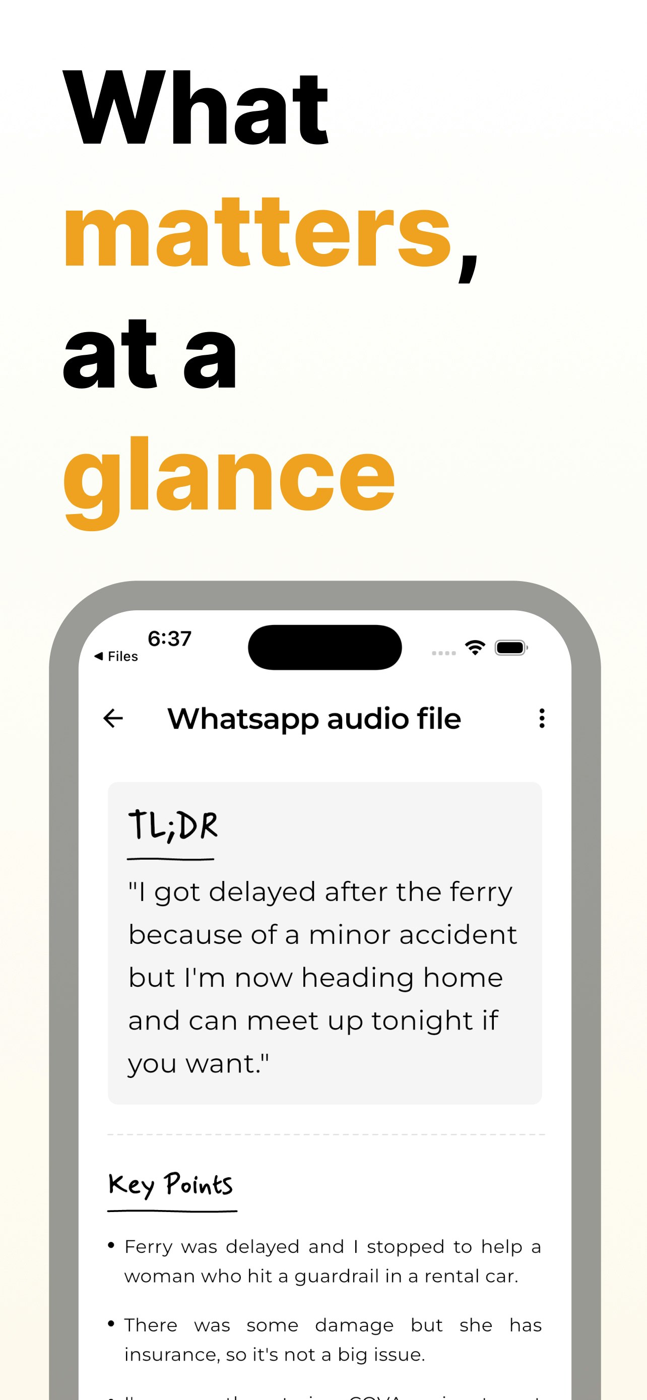 TLDRify: Summarize Voice Notes - Screenshot 3 preview