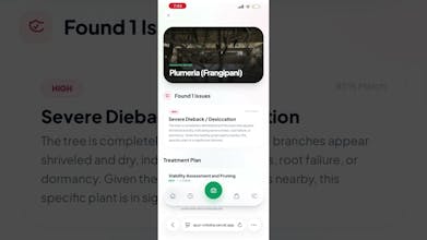 AyurScan gallery image