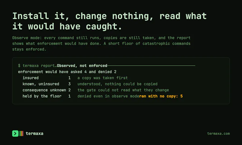 Termaxa screenshot 4