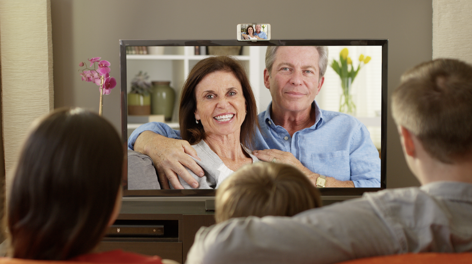 TellyMount gallery image