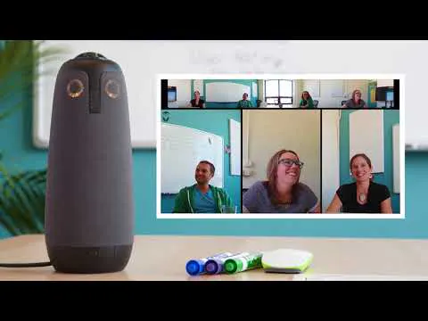 The Meeting Owl